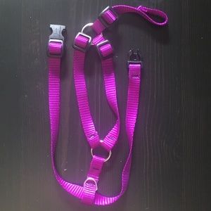 Lupine Pet small dog/cat harness & matching leash